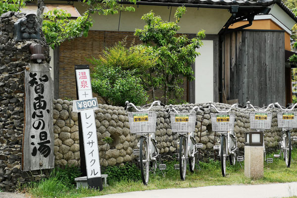 Launched a bicycle rental service