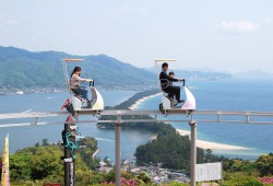 Cycle-car