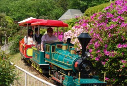 Benkei-Go (steam locomotive)