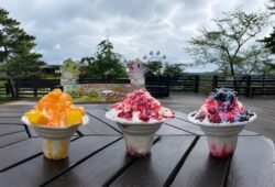 Taiwanese shaved ice