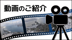 動画紹介