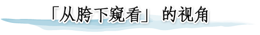 「从胯下窥看」的视角