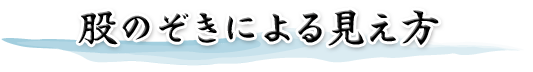 股のぞきによる見え方