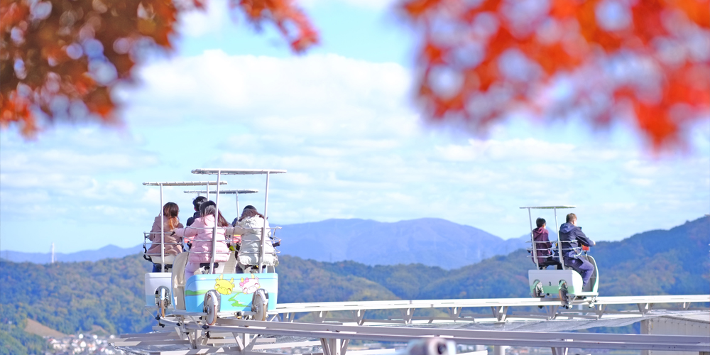 2026HP用紅葉とサイクル